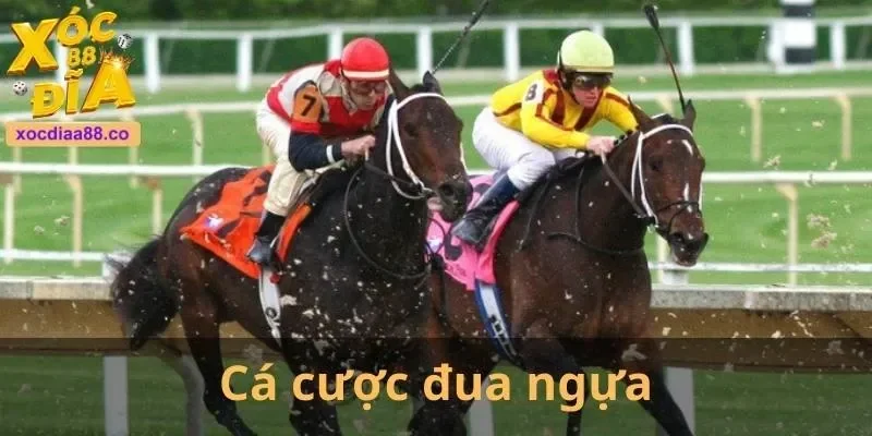 ca cuoc dua ngua